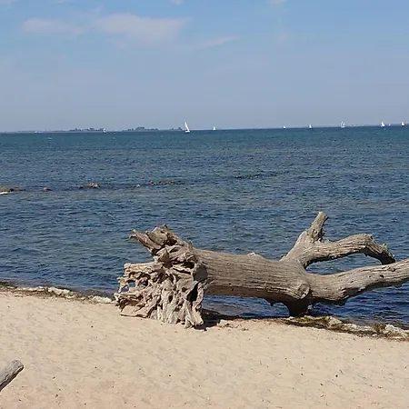 Am Greifswalder Bodden